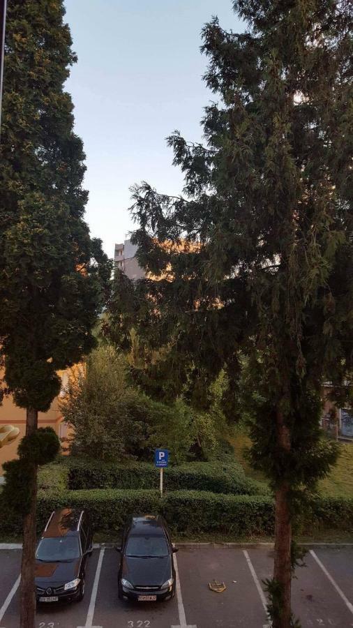 Appartamento Xili's Relax And Chill Apartment, Netflix, Peaceful Location In
