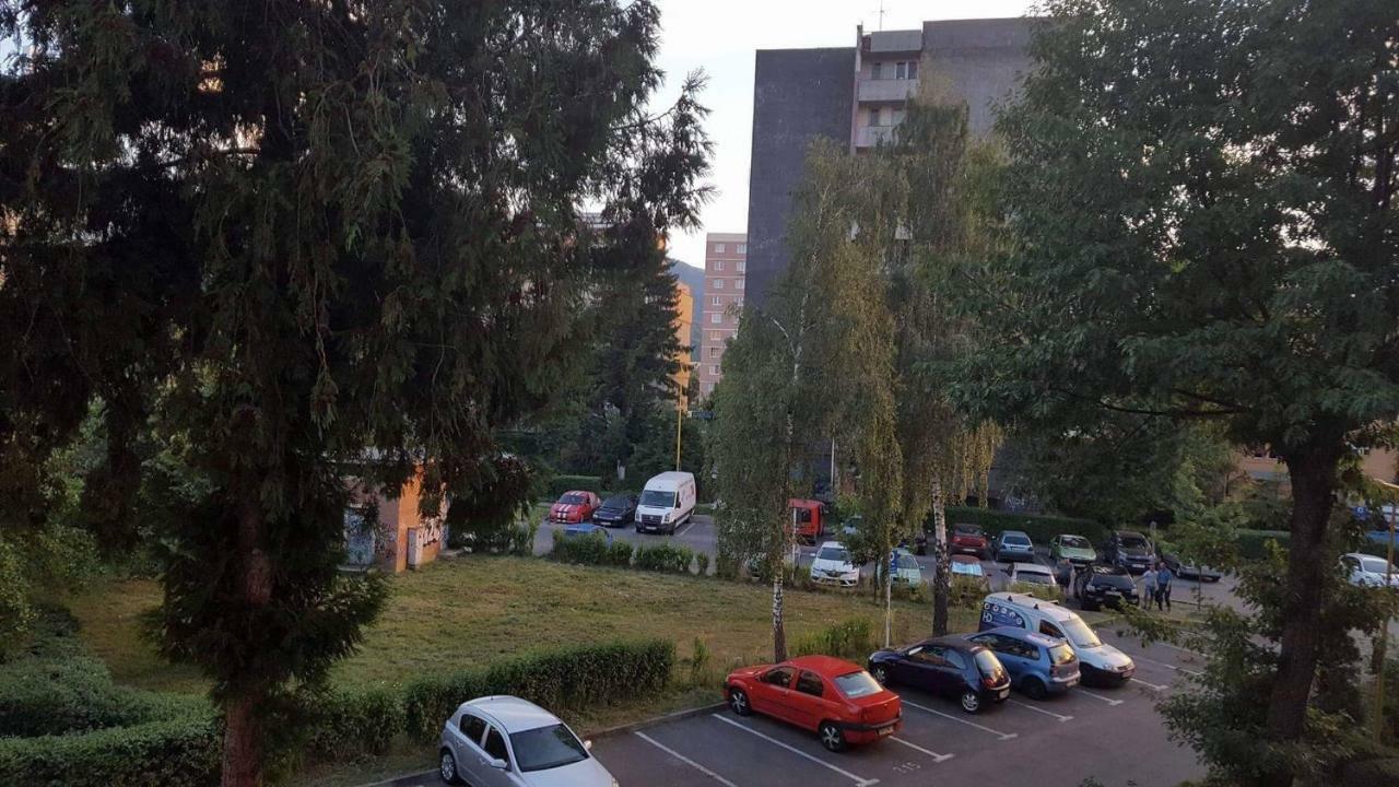 Xili's Relax And Chill Apartment, Netflix, Peaceful Location In Appartamento *